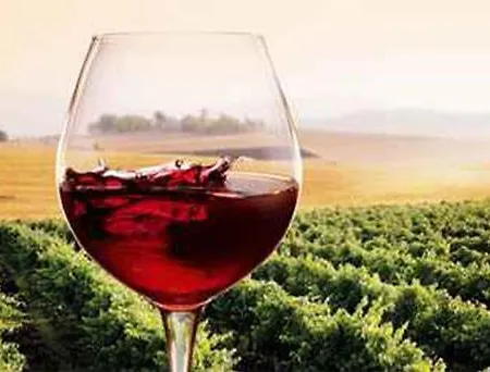 Holiday home Podere Il Granaio - Crete Senesi - Tuscany