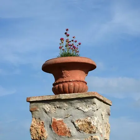 Podere Il Granaio - Crete Senesi - Tuscany Holiday home *